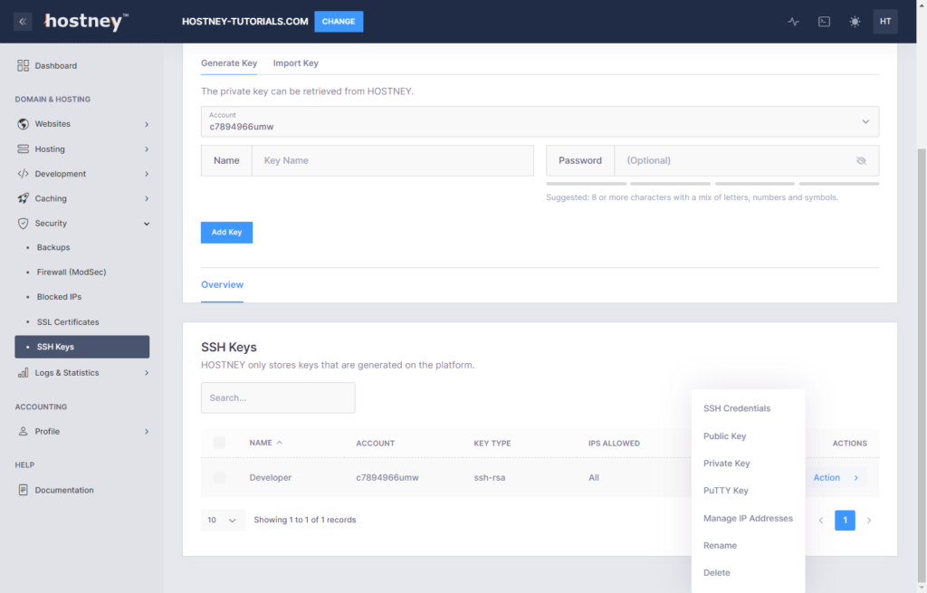Web Hosting - Key Options