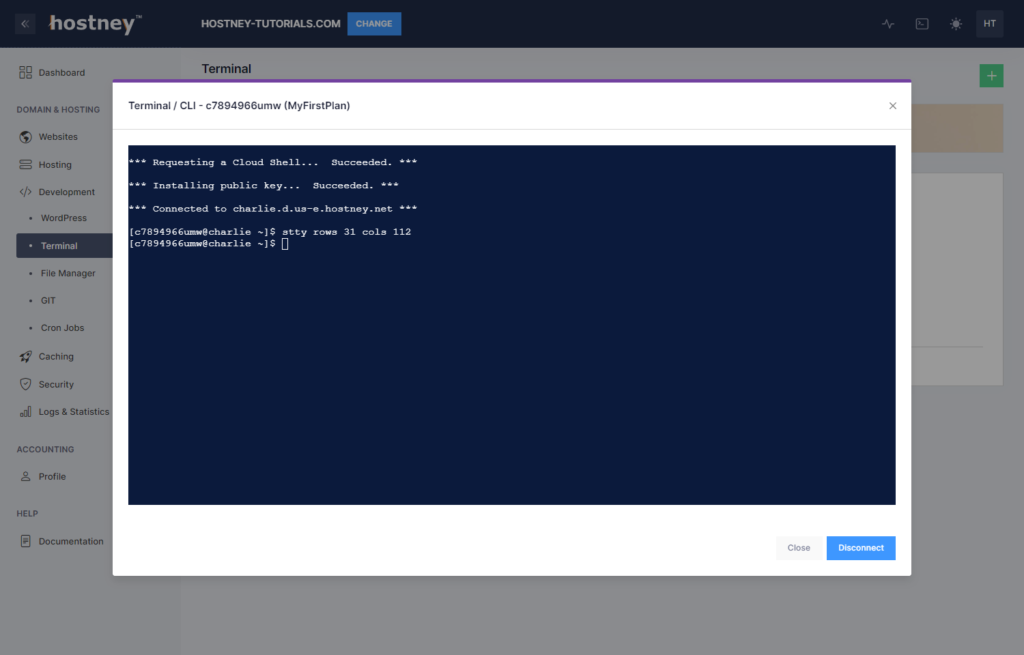 Web Hosting - Terminal Window