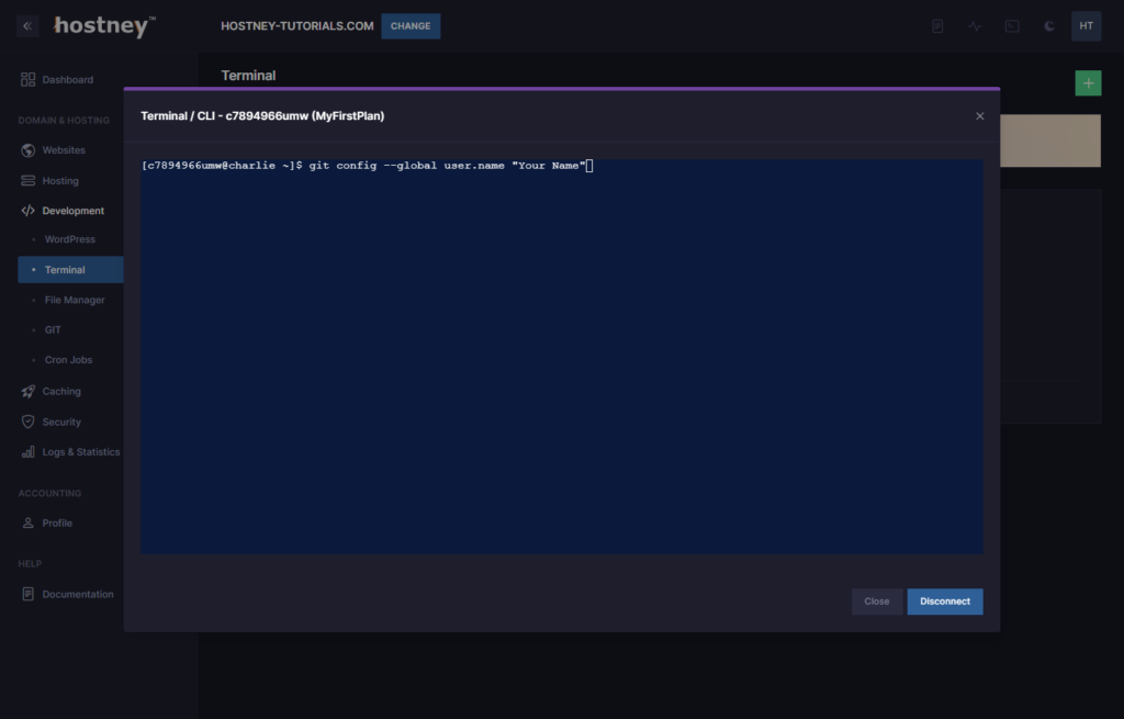 Web Hosting - Git Guide